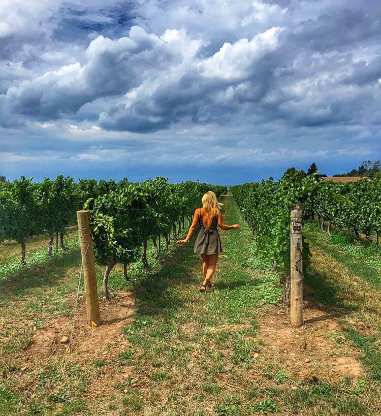 Small Talk Wines tweet media