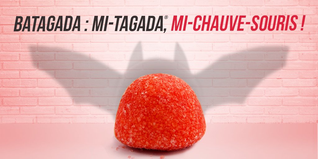 [Nuit de la chauve-souris] Ouvrez bien l’œil cette nuit, BaTAGADA est de sortie ! 🌘