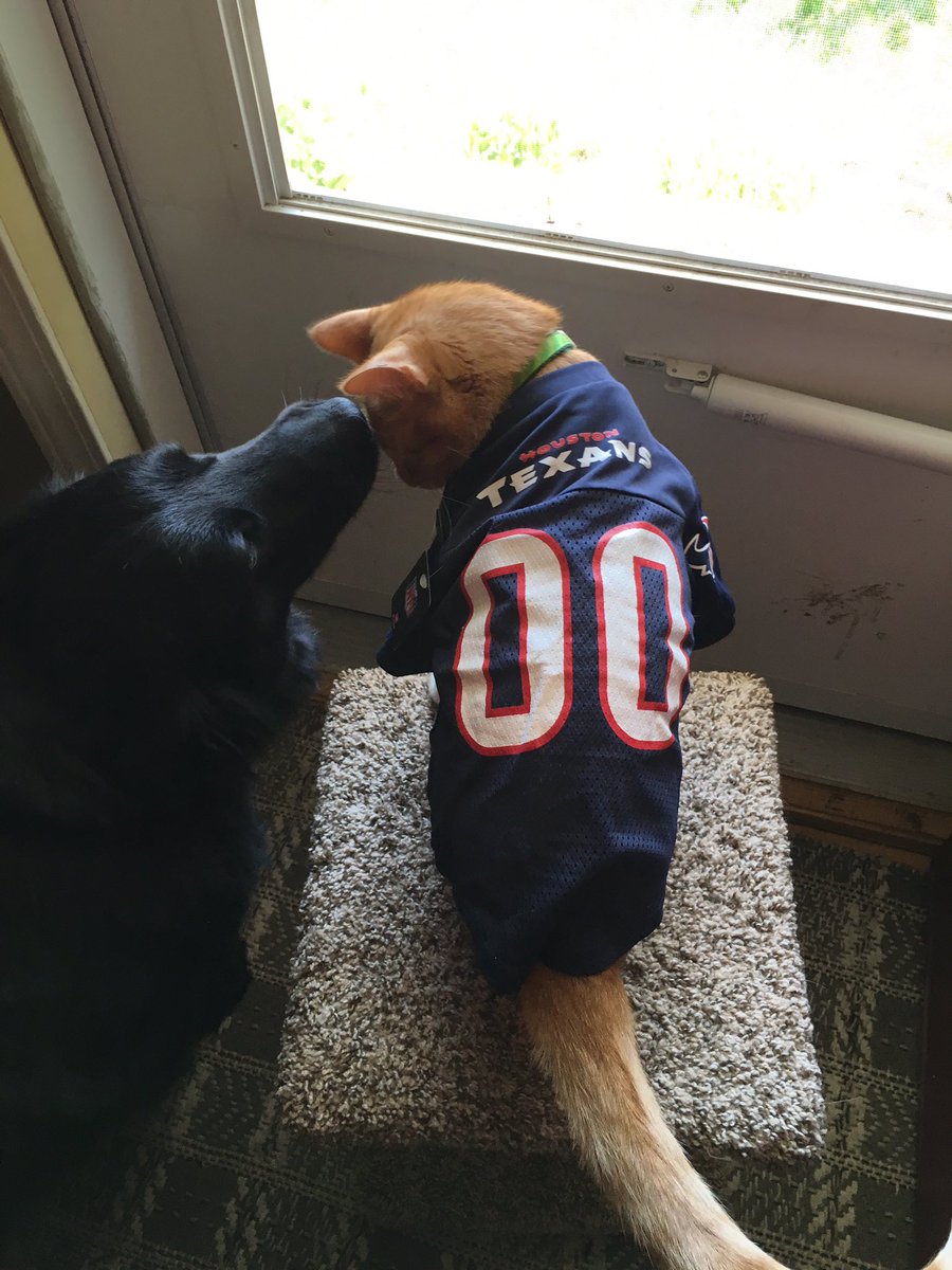 dog texans jersey