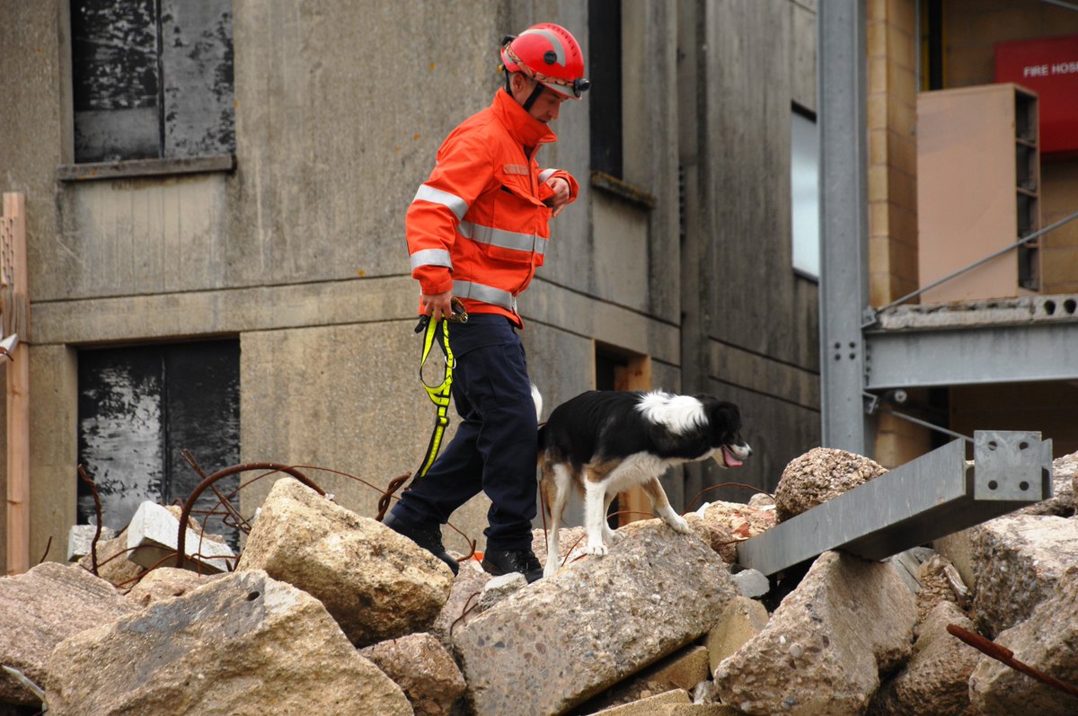 Celebrating the skills and the vital role our canine friends play in the fire &amp; rescue service #InternationalDogDay