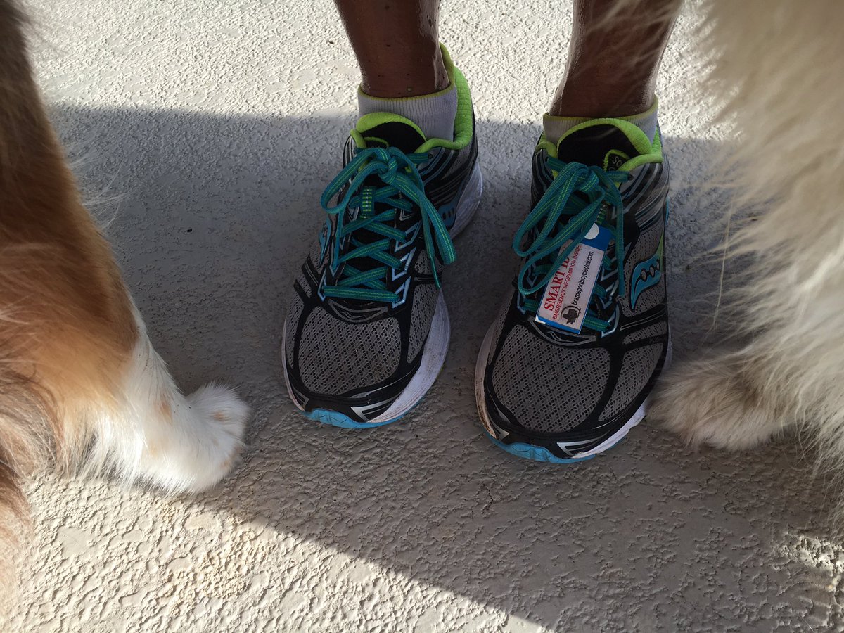 kellysimo12's tweet image. 10k done with some help from my fur babies. #NPS100 Happy 100 to the National Park Service