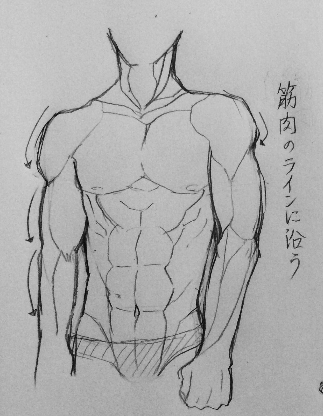 Poca なんちゃって筋肉の描き方 自分用 T Co 08nmwanrii Twitter