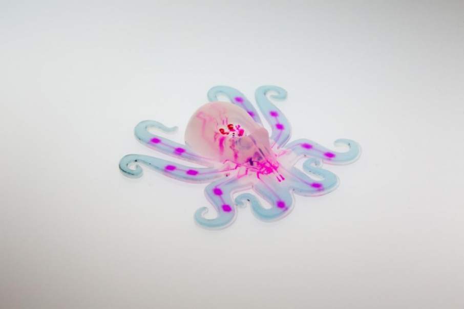 Priyoid's tweet photo. Ahtapot’tan Esinlenilerek 3D Yazıcılarda Üretilen İlk Yumuşak Robot; OCTOBOT! #octobot #robotics #octopus #3dprint https://t.co/gPUVGZ01Pt