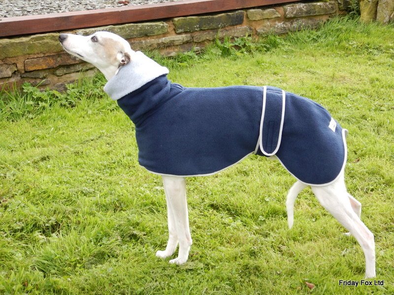friday fox whippet coats