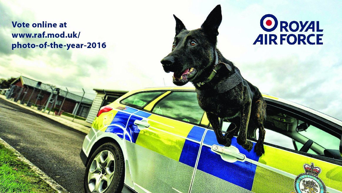 Royal Air Force tweet media
