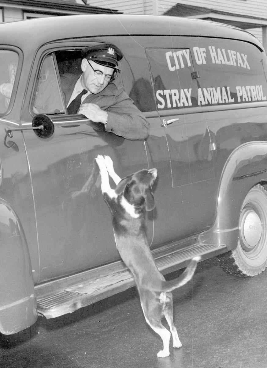 Frame Plus Art (FramePlusArt) Twitter