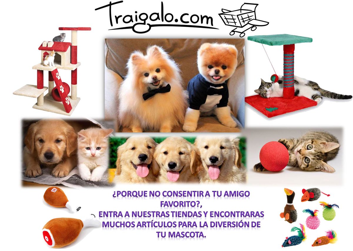 Lo mejor para los amiguitos mas fieles del mundo esta en Traigalo.com!!!!