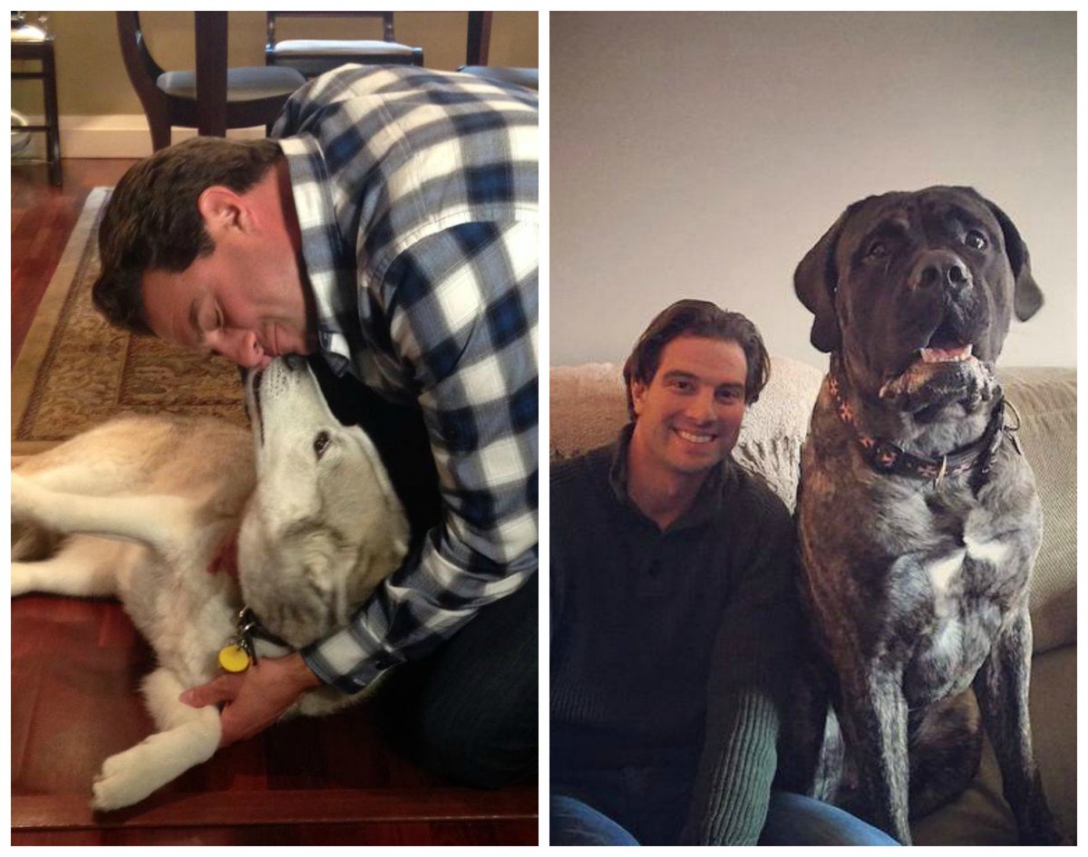 smcgillivray's tweet photo. In honor of #NationalDogDay - husky or mastiff? #DogDebate https://t.co/UbdHTTKYZ0