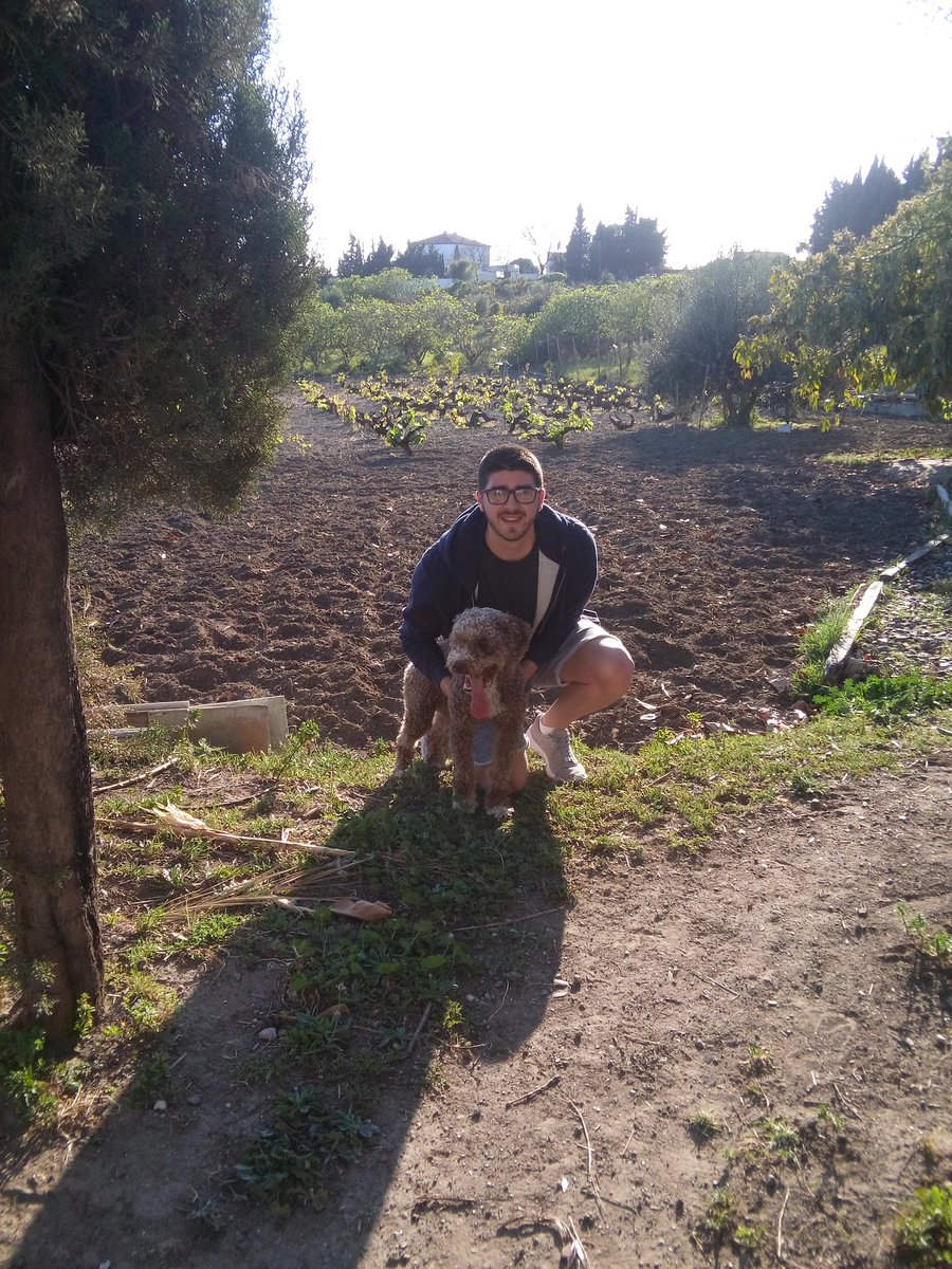 jcaf_97's tweet photo. Te echo de menos.. 🐶🐝 https://t.co/1dG9ASQcBy