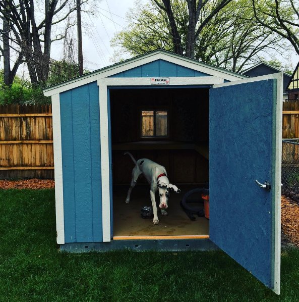 tuff shed dog kennel
