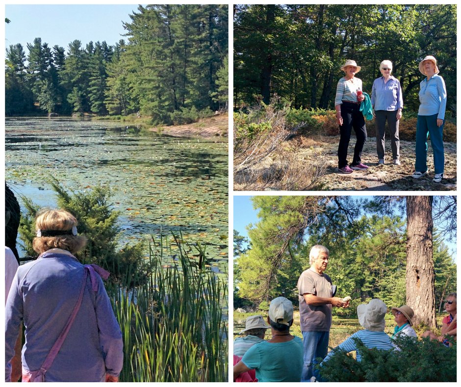 KLTptbo's tweet photo. Enjoying the #KLTprotected Elliott Property on #StoneyLake This property features natural shorelines & wetland areas https://t.co/i6PFlSM2fv