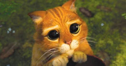 RaffaBetaLab's tweet image. Vamos rtt povo. rsrs. Boa tarde ;)