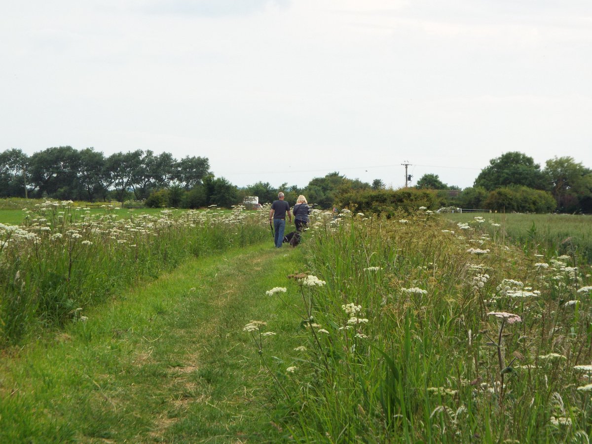 CherryTreeSite's tweet image. Wish you were here - doing this?