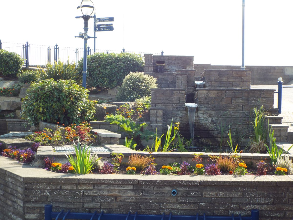 CherryTreeSite's tweet image. Wish you were here - doing this?