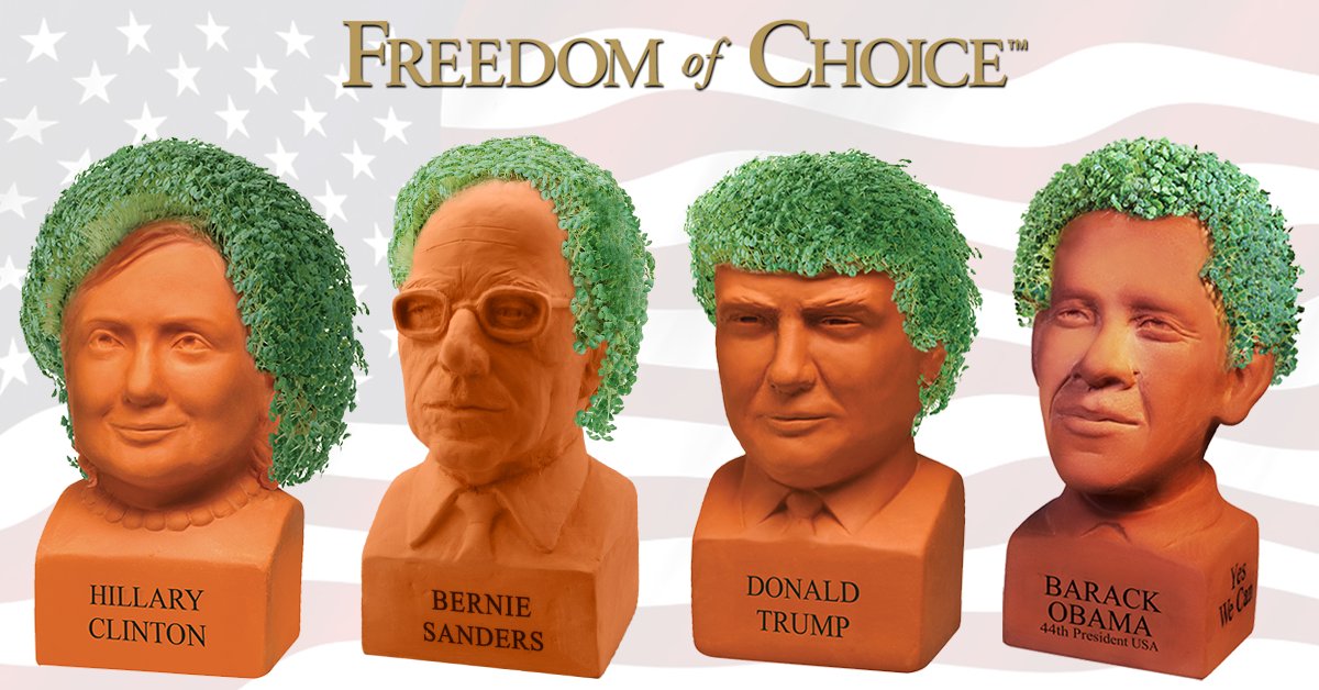 Chia Obama On Twitter Complete Dry Out Experiment Took A Circus Turn Time To Replant Keepobamamoist Makethechiafarmgreatagain