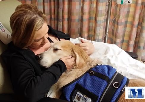 mhshospital's tweet photo. Happy #NationalDogDay! We especially thank our Pet Therapy friends/volunteers who help patients through tough times. https://t.co/bnucbcVmKJ