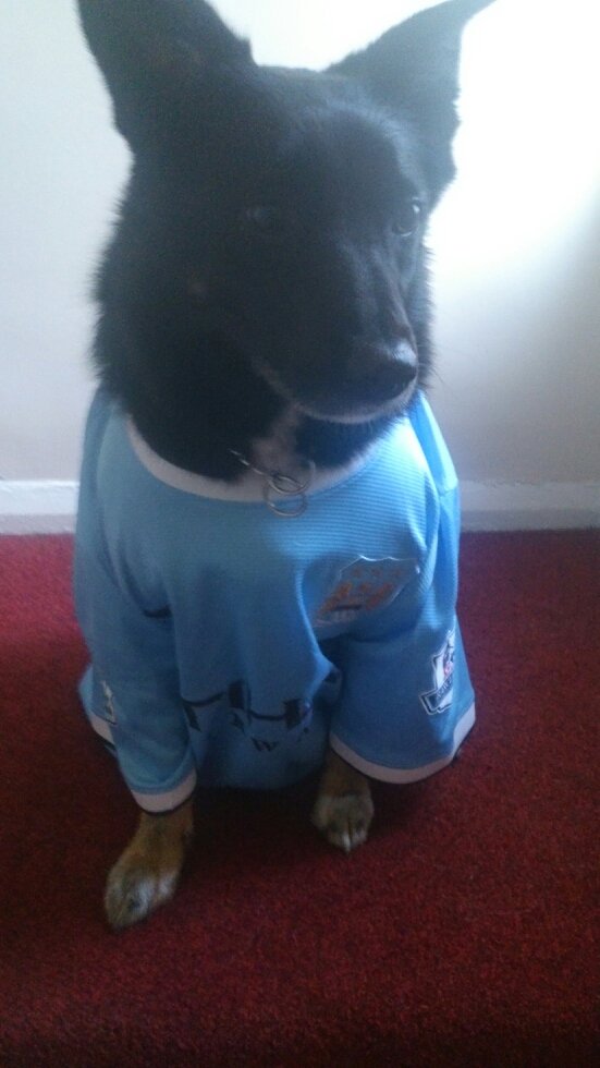 @youretooclose @NYCFC so is my dog milly ctid https://t.co/Cq5PdvXkhp