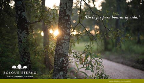 .<a href="/BosqueEterno/">Bosque Eterno</a> parque funerario ecológico en México, para la memoria de los seres queridos - estamosalaire.com