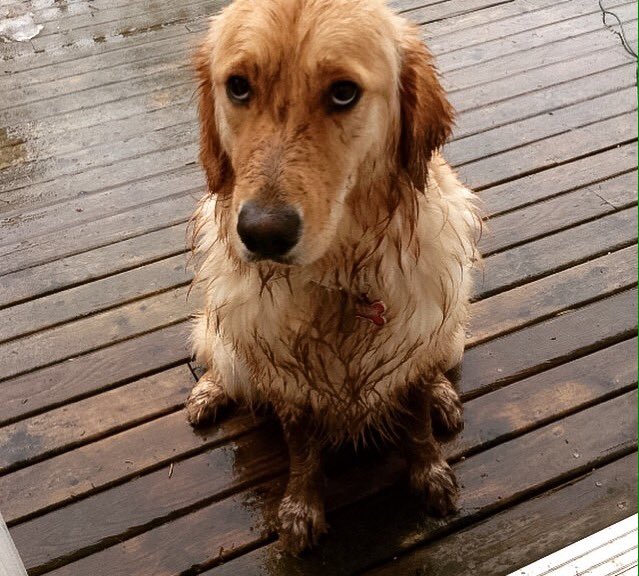 Dave Riley tweet media