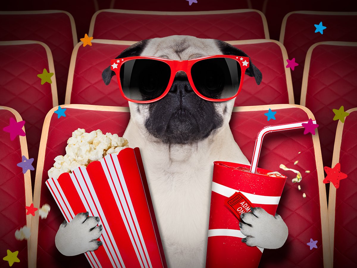 Scotiabank tweet media