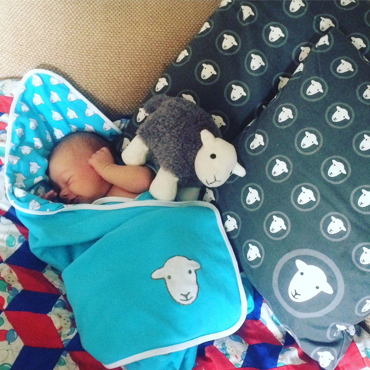 ISOTheGoodLife's tweet photo. When do I admit I, I mean Alfie, has a problem?? @HerdyUK https://t.co/AMjGlmRnbg