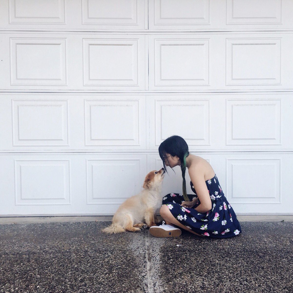 aly_wu's tweet photo. Happy #NationalDogDay to my favourite โค๏ธ #pomgi #mydog #love https://t.co/by3IcAqDU0