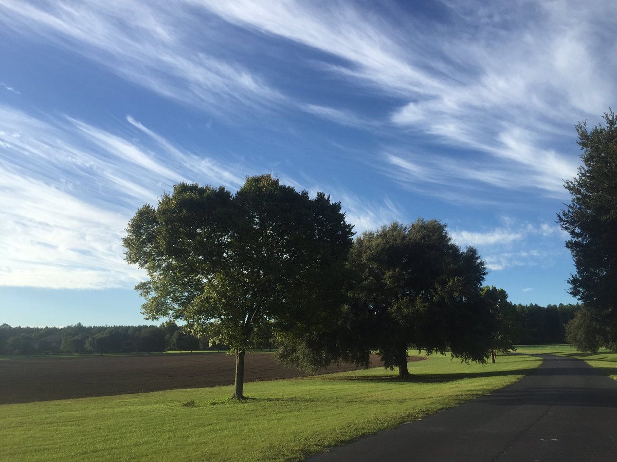 UTRESteph's tweet image. Florida Friday Sky                  floridaofficecampus.com/show/index.php