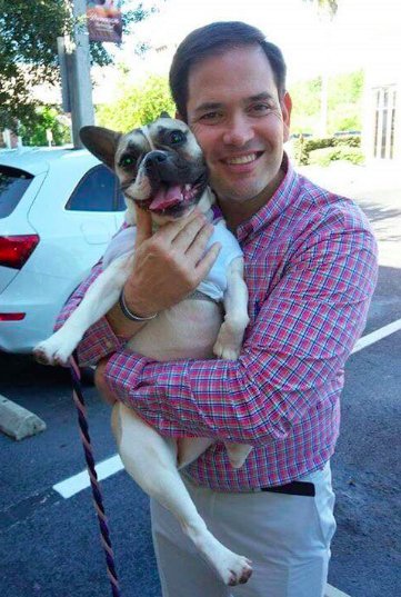 Always great meeting new friends on the campaign trail! #NationalDogDay
