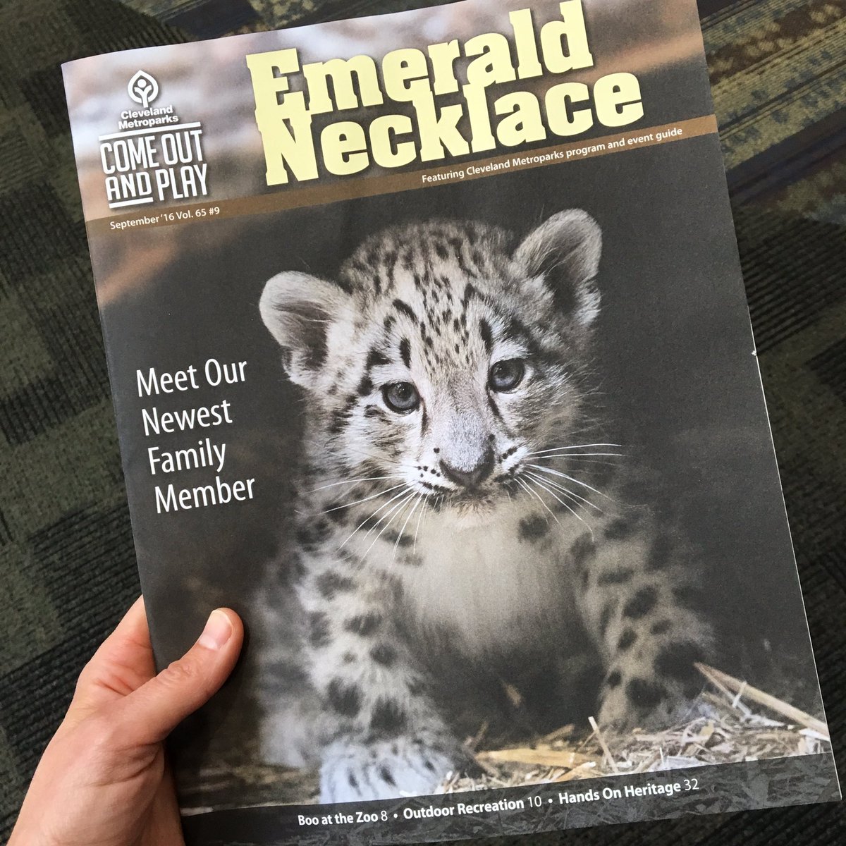 sarabethlowe8's tweet photo. Spotted at the library today @clemetzoo #comeoutandplay #sameera #clevelandmetroparkszoo https://t.co/ELZjet3LPQ