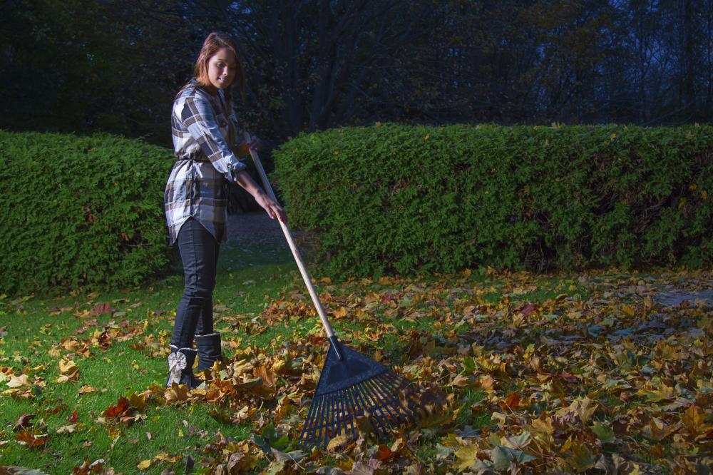 I hate raking leaves. Now I have a great reason not to! #NaturalMulch bit.ly/2blqMBZ
