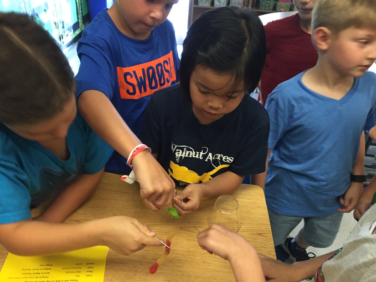 TeacherCatt's tweet image. We saved Fred the Gummy Worm by putting a Lifesaver around him with paper clips #firstdayof3rdgrade #SaveFred