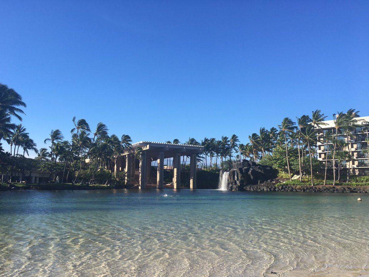 SamClapton's tweet image. Morning from Hawaii