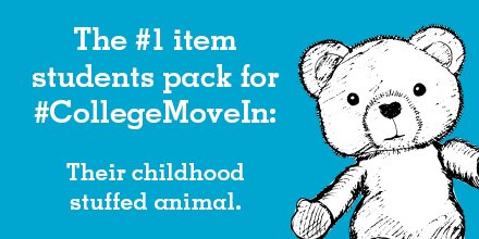GenYInfluencers's tweet photo. @UChicago did you pack your teddy? #CollegeMoveIn #College #AtHomeStores https://t.co/Cc48eIDgpx