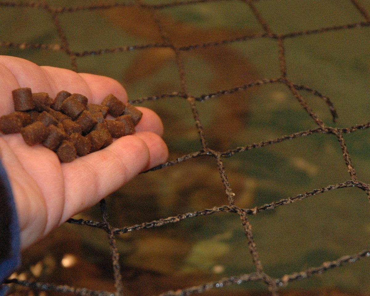 Seeking sustainable ways to feed farmed fish: mbayaq.co/2bGlRfc <a href="/undarkmag/">Undark Magazine</a> <a href="/Iamherox/">HeroX</a> <a href="/nickleiber/">Nick Leiber</a>