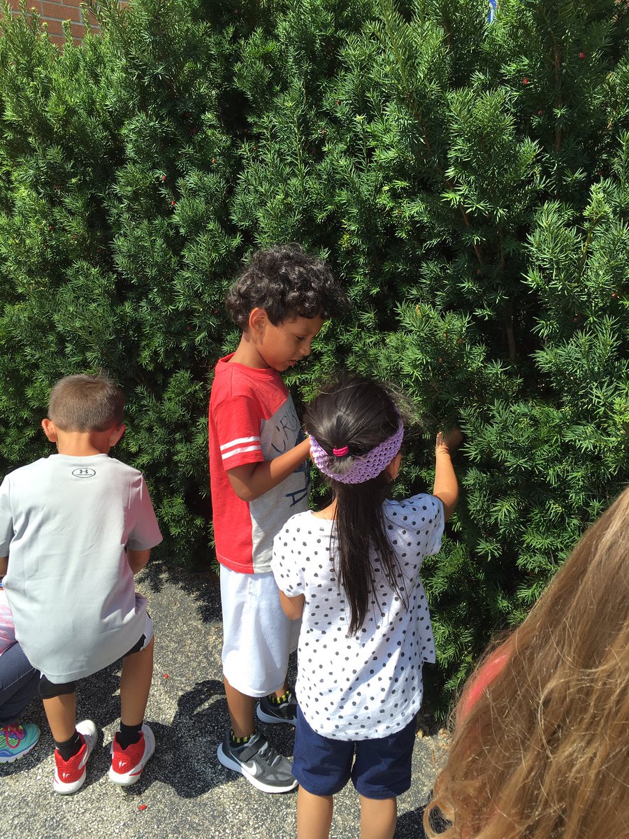 Kathrynwalk123's tweet photo. PM class exploring nature. "Look it's hatching!!" @crossingcougars #washedourhands! https://t.co/RgQL7yBdSV