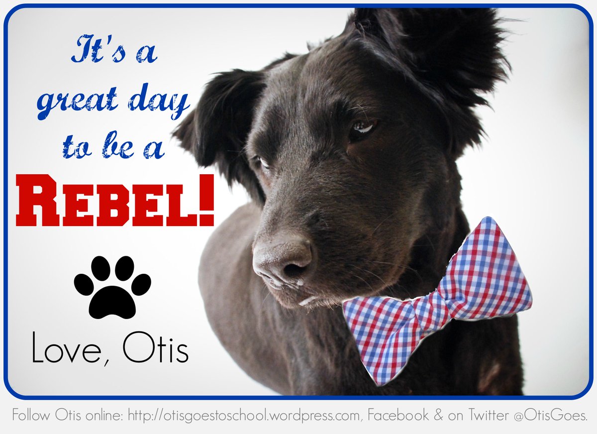 OtisGoes's tweet photo. @OleMissRebels #NationalDogDay #gorebels @olemissalumni @OleFans #ISawTheLight It's always a great day 2b a rebel! https://t.co/EPKjJ4Ds7o