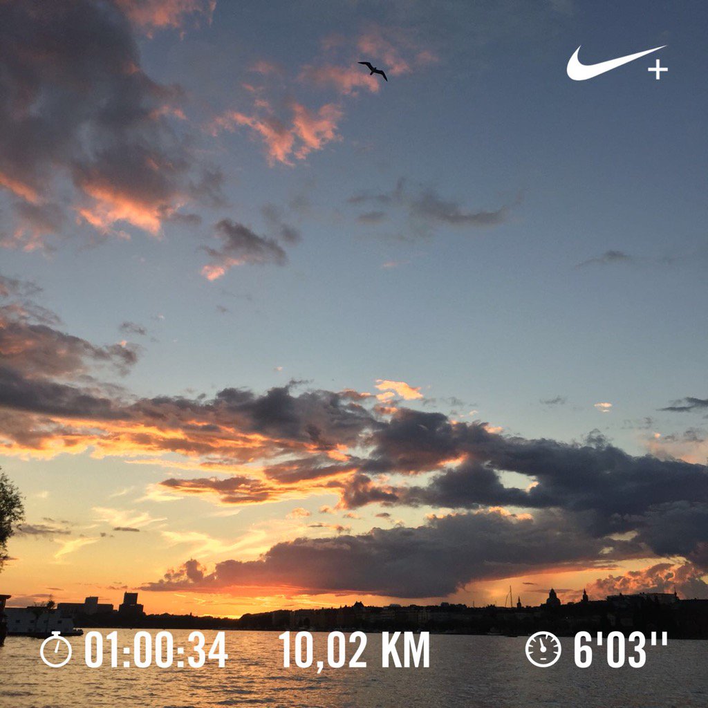 d_darshan's tweet image. Love this city! Wish I could be that #bird :) #stockholm #runmode