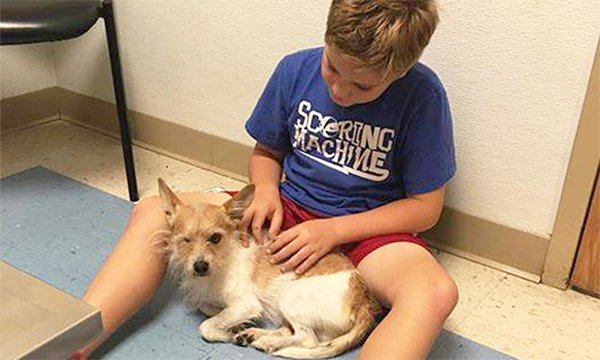 StateFarm's tweet photo. One family's #NationalDogDay is going better thanks to their local agent! https://t.co/vHvk6ak5YV 🐶 #HereToHelp https://t.co/NLuIw5TMhs