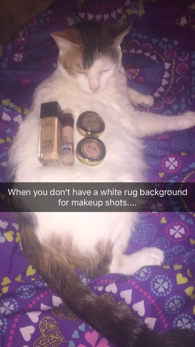 ComedyPosts's tweet photo. I'M CRYING 😂😭 https://t.co/QTl2DijyEf