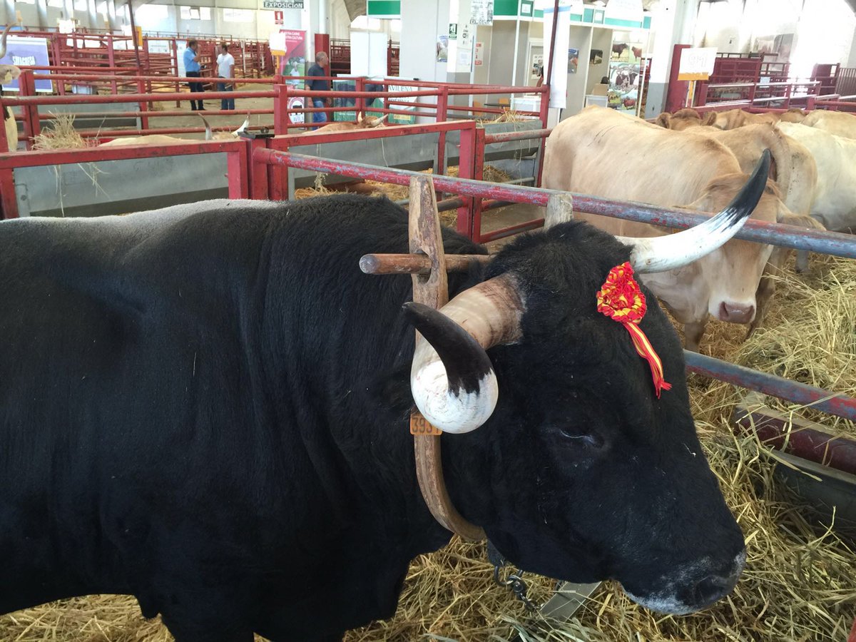Los nuestros en <a href="/feriasalamaq/">Salamaq</a> 
Santos,Lorenzo,Lorena,mucha gente de #Cantabria apoyando #Ganadería @EstherMerino_PP
