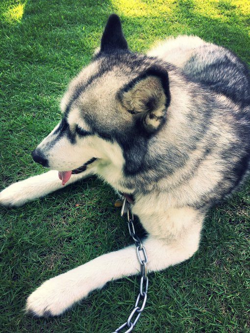 Twitterのコスプレ画像41