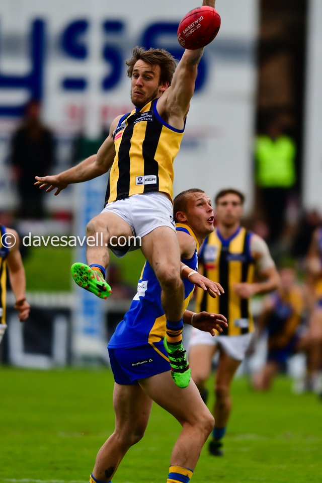 Dave Savell tweet media