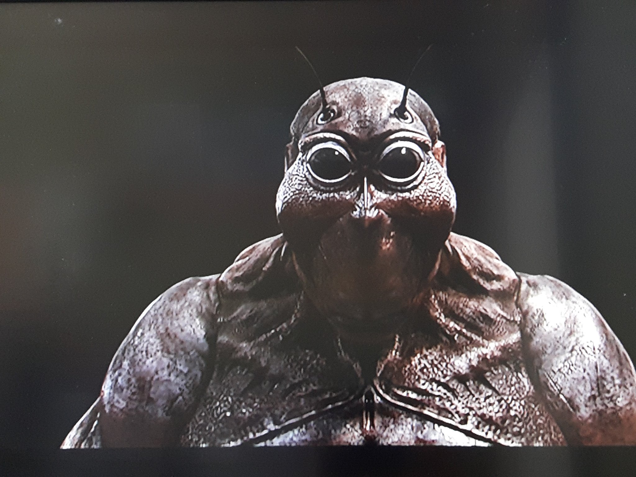 こが テラフォーマーズの実写版のゴキブリが キモすぎる E ٥ こが テラフォーマーズの実写版のゴキブリが キモすぎる E ٥
