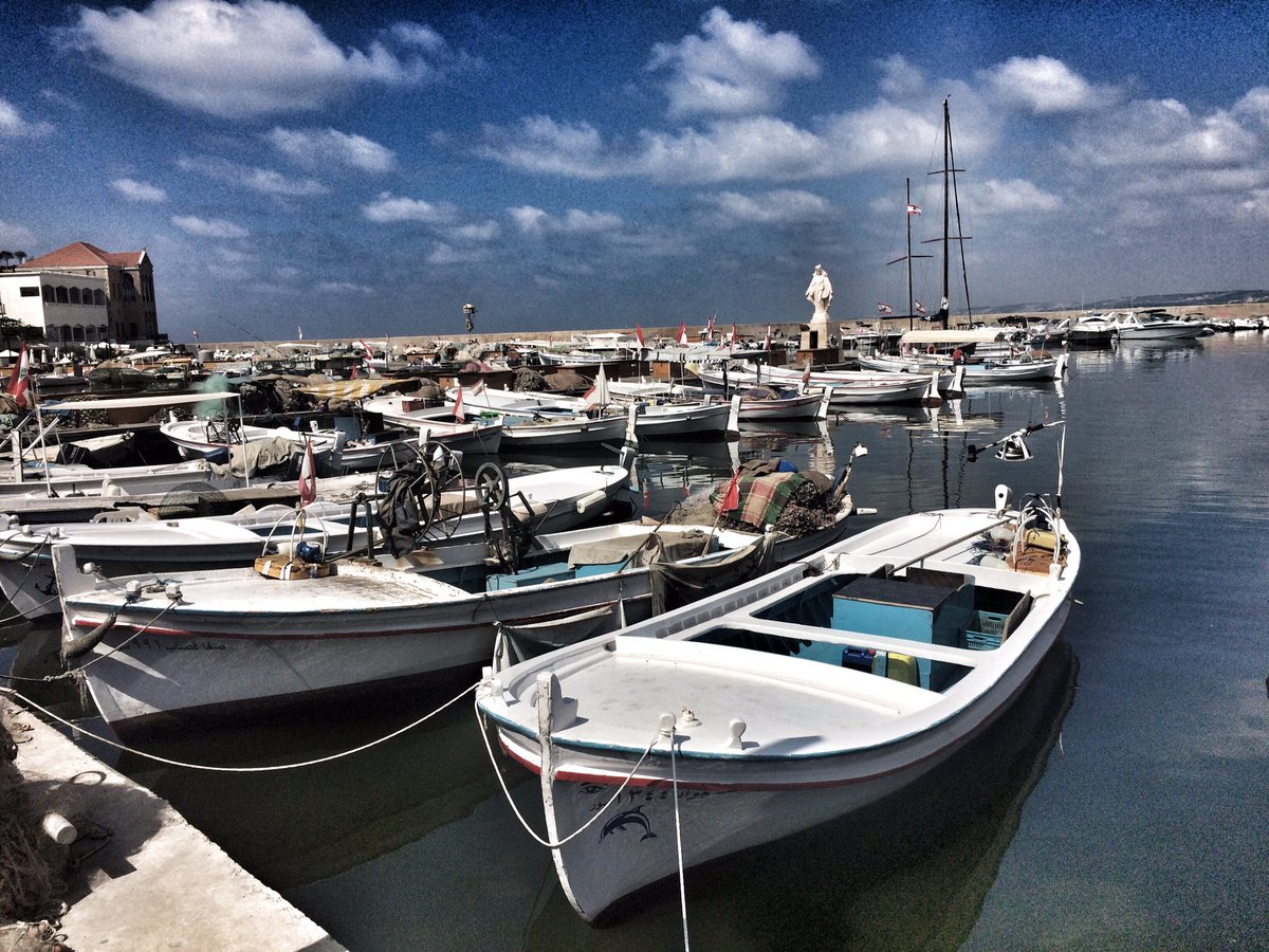 Chill & Wander tweet media