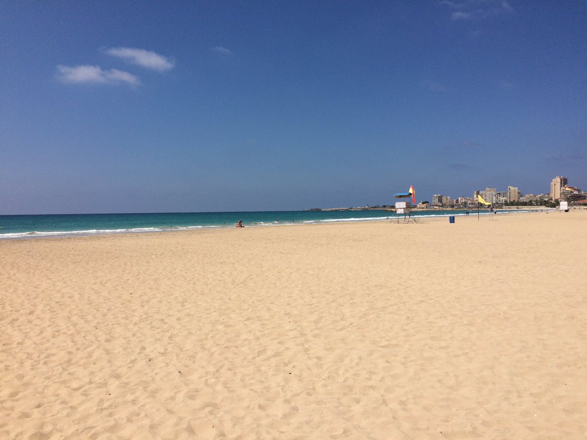 Chill & Wander tweet media