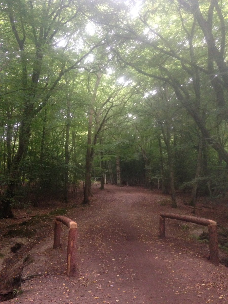 Cannot feel the ☔️ in #epping#forest this morning