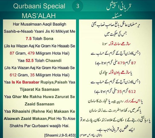 Qurbaani Special 👇👇👇