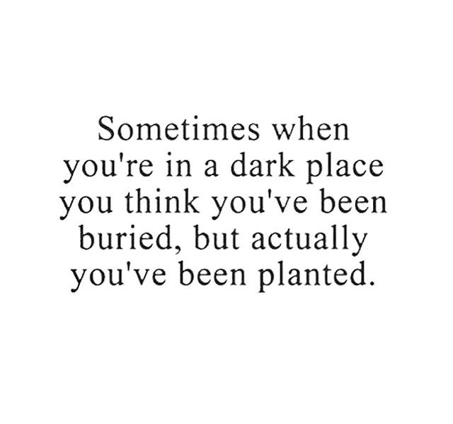 prosemeds's tweet photo. Happy Thursday guys. Keepaongoing. https://t.co/63YiQ45c8S