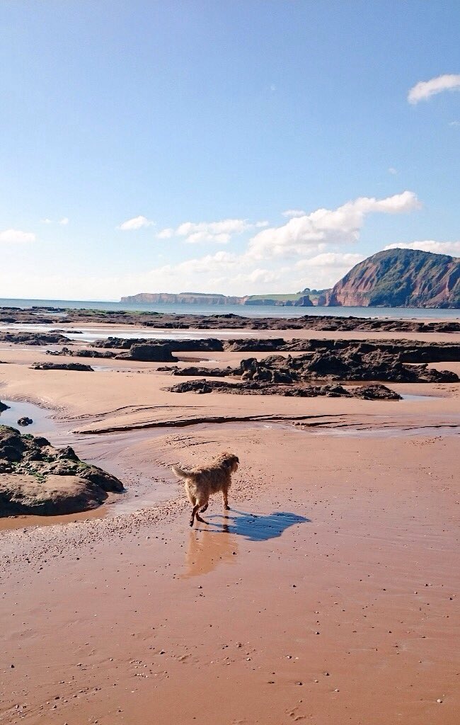 <a href="/sentfromdevon/">#sentfromdevon</a> @PhotosRgw <a href="/VisitDevon/">Visit Devon</a> <a href="/whatsondevon/">What's On Devon</a> <a href="/GreatDevonDays/">Devon Days #LoveDevon</a> <a href="/heartofdevon/">The Heart of Devon</a> <a href="/DevonLife/">Devon Life</a> <a href="/Devon_Hour/">#DevonHour</a> my beach!❤️