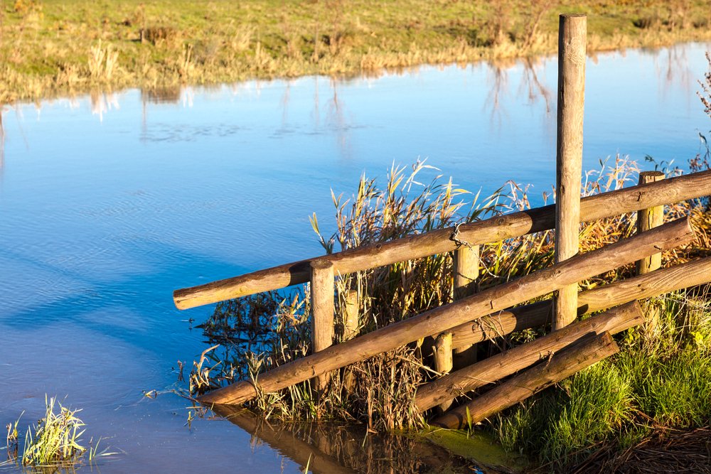 Flood-hit #farmers receive £1M to help with #recovery ow.ly/QY71303Ym29 #UKfloods #FarmingRecoveryFund #floods